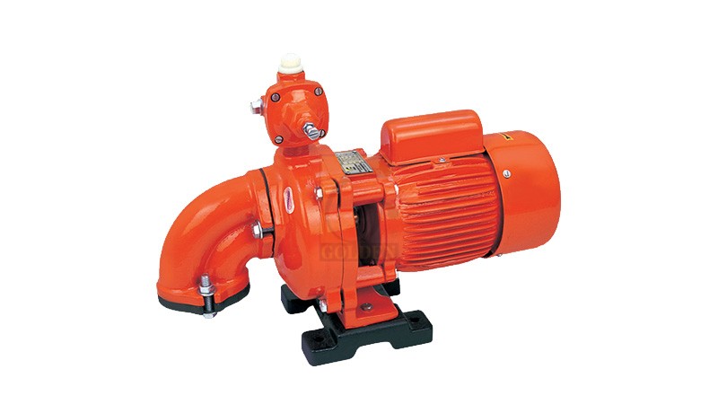 Shaehzad Pump